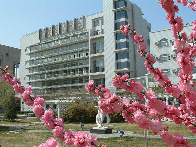 淫逼逼逼网